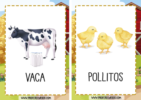 Flashcards Educativas