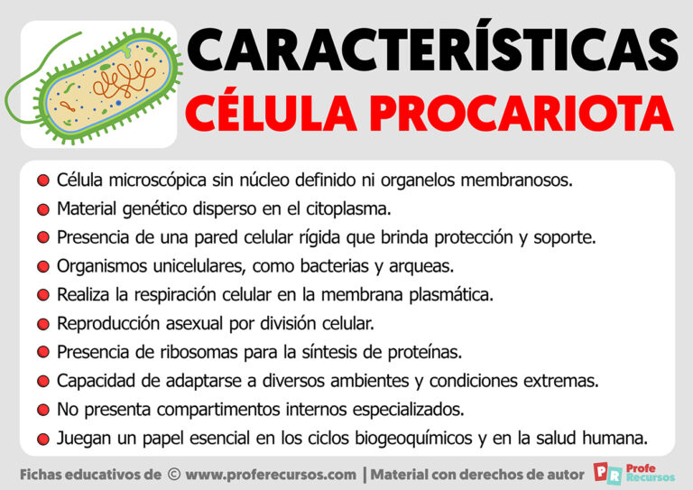 Características de la Célula Procariota