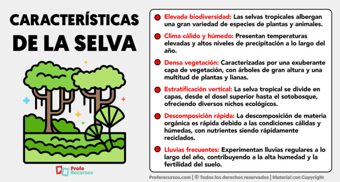 Caracter Sticas De La Selva