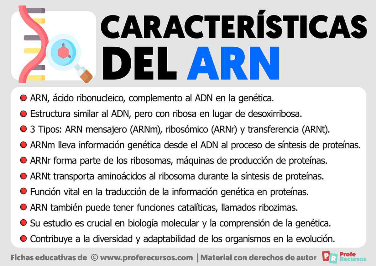 Características del ARN