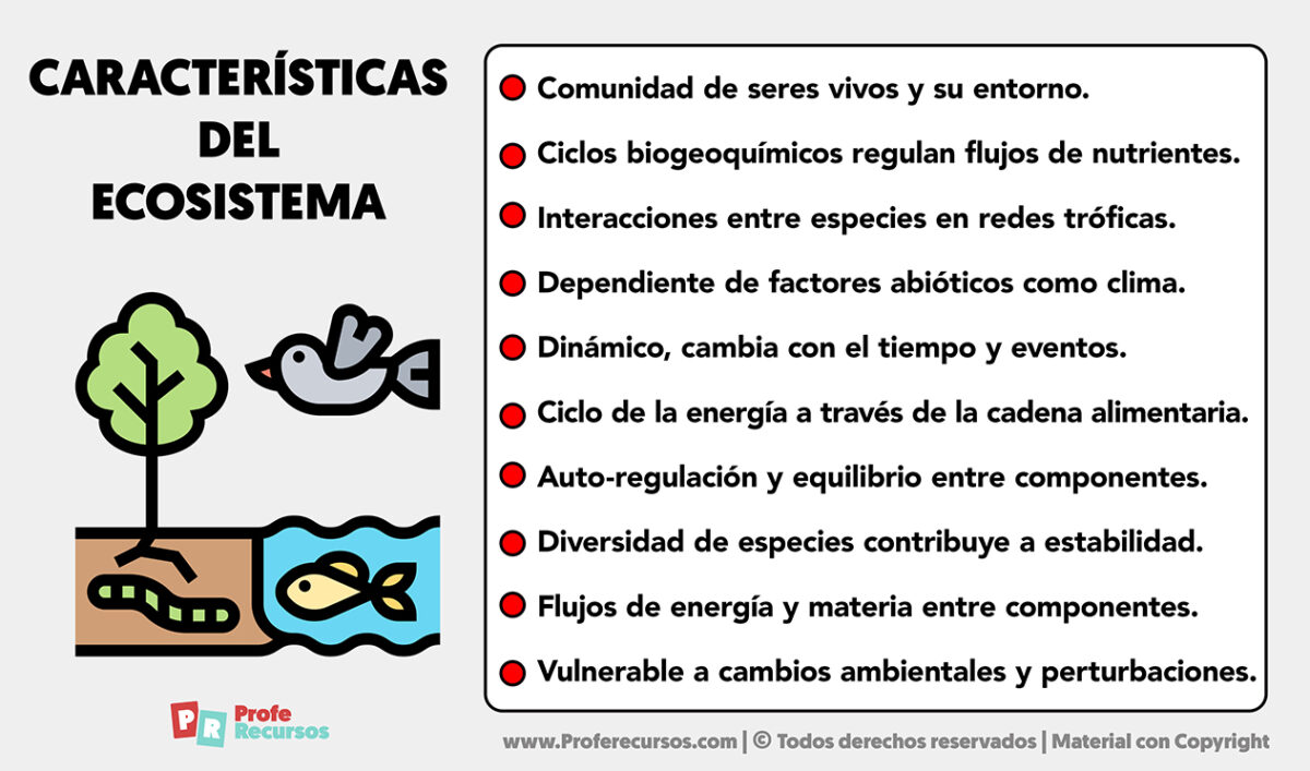 Características del Ecosistema