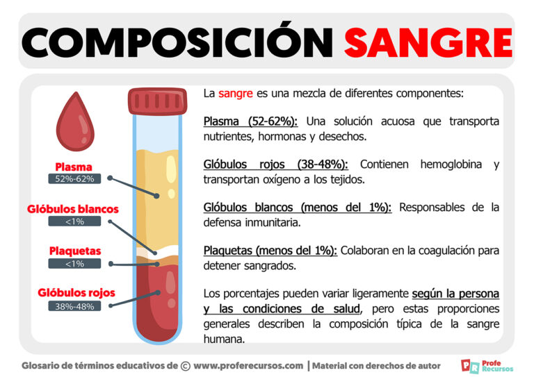 Composici N De La Sangre