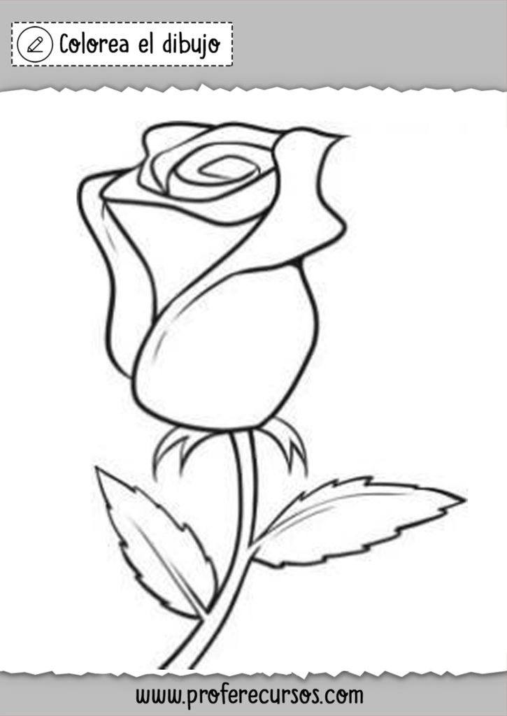 Dibujos Rosas Colorear Profe Recursos 4413