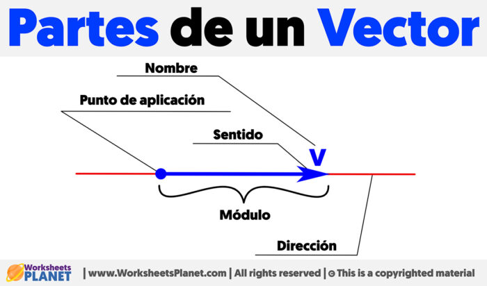 Partes De Un Vector