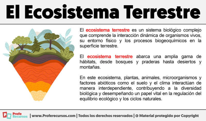 Qu Es El Ecosistema Terrestre