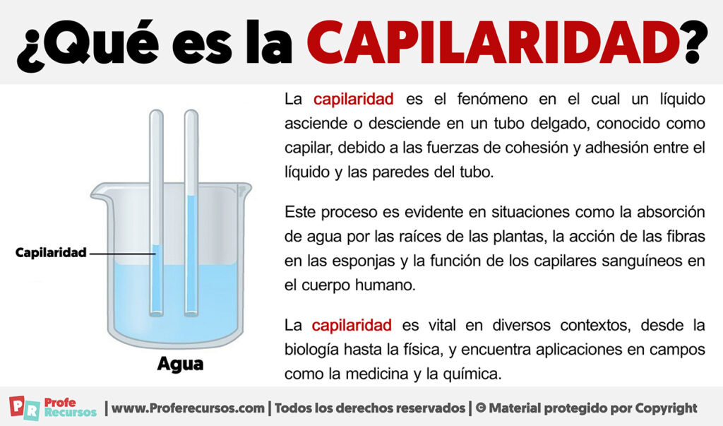 Qué es la Capilaridad Definición de Capilaridad