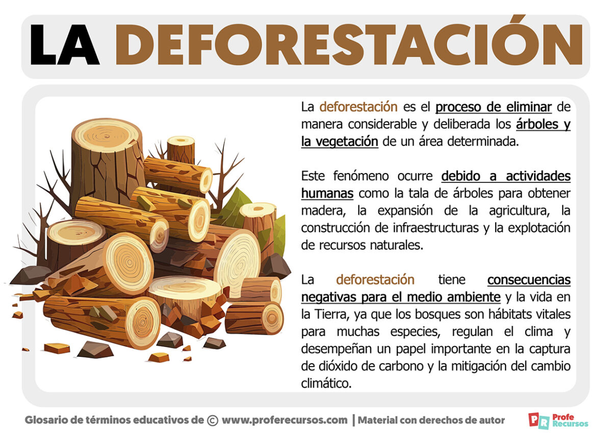 Qu Es La Deforestaci N Definici N De Deforestaci N