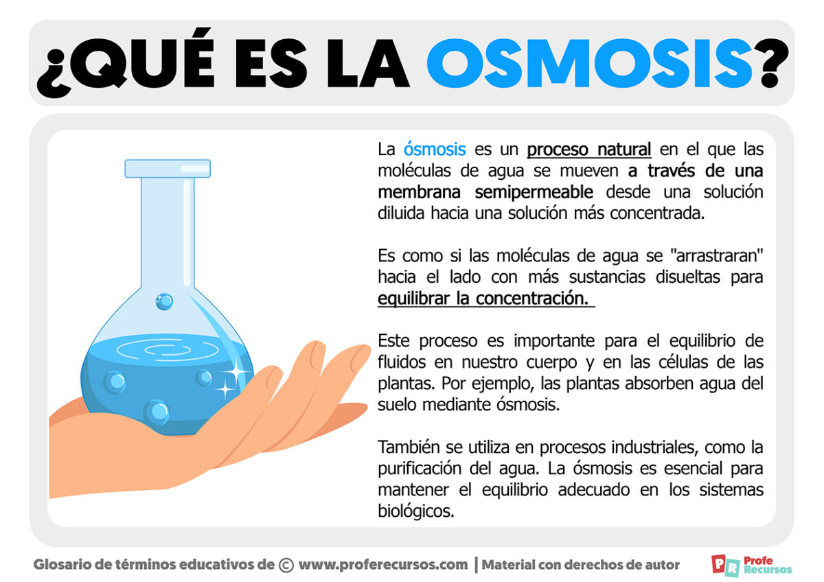 Qu Es La Smosis Definici N De Smosis