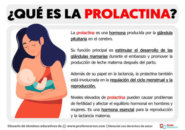 Qué es la Prolactina Definición de Prolactina