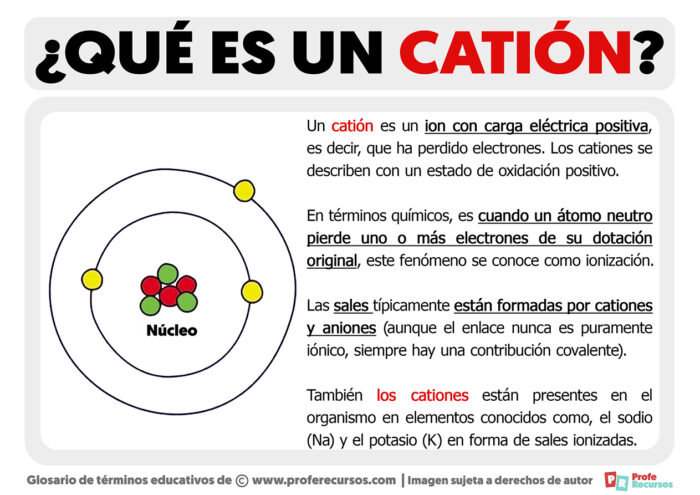 Qu Es Un Cati N Definici N De Cati N