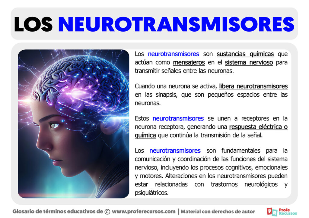 Qu Es Un Neurotransmisor