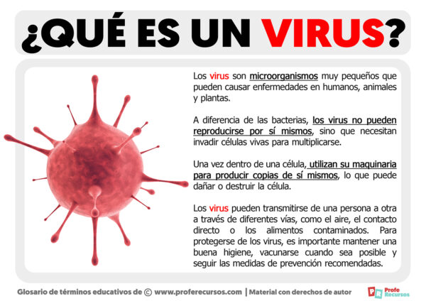 Qué es un Virus Definición de Virus