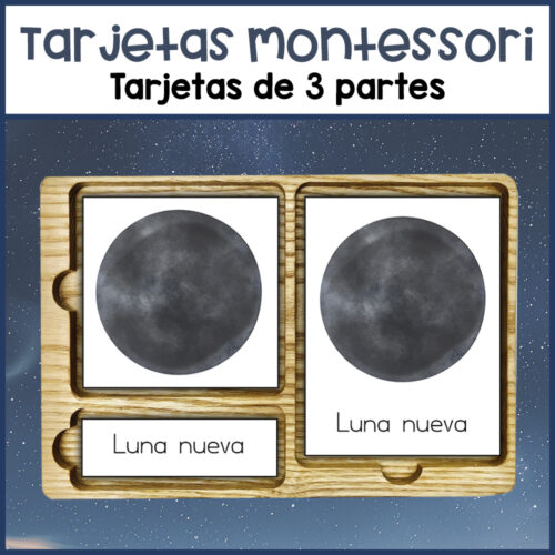 Actividad con las fases de la luna