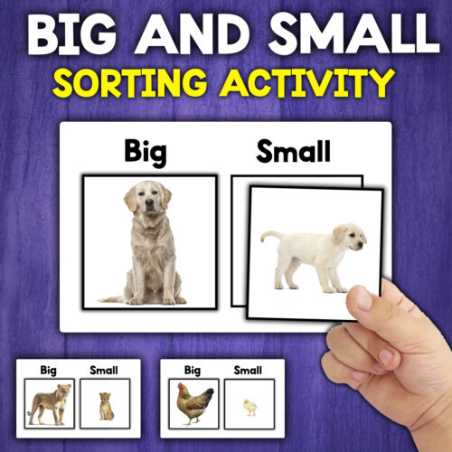 Big or small actividad