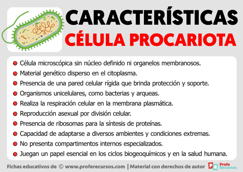 Características de la Célula Procariota