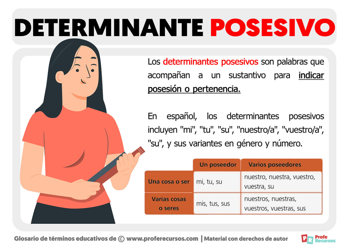 Qu Son Los Determinantes Posesivos