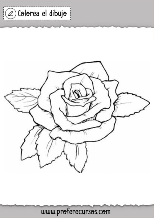 Dibujos de Rosas Lindas - Profe Recursos