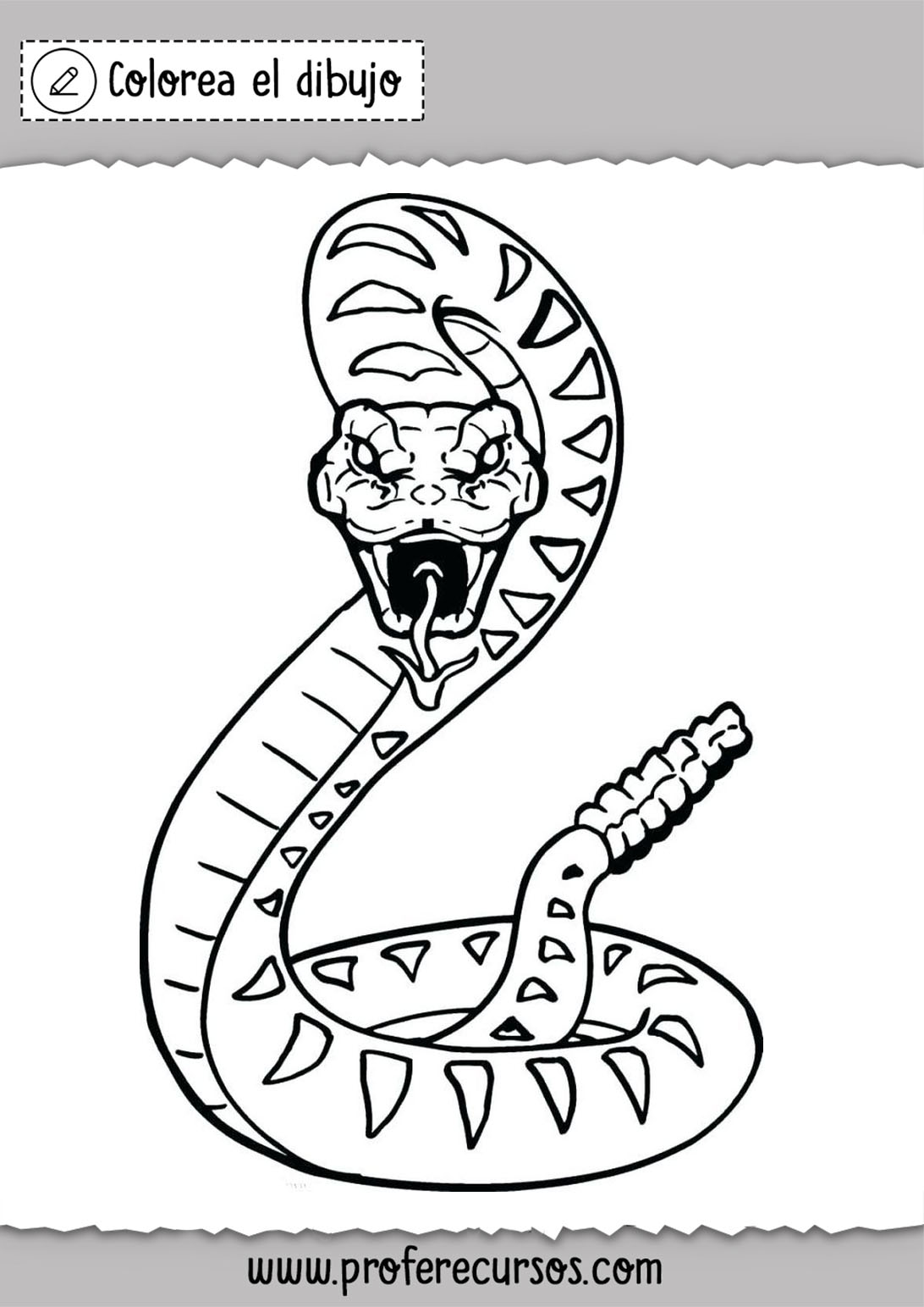 Dibujos de serpientes para colorear