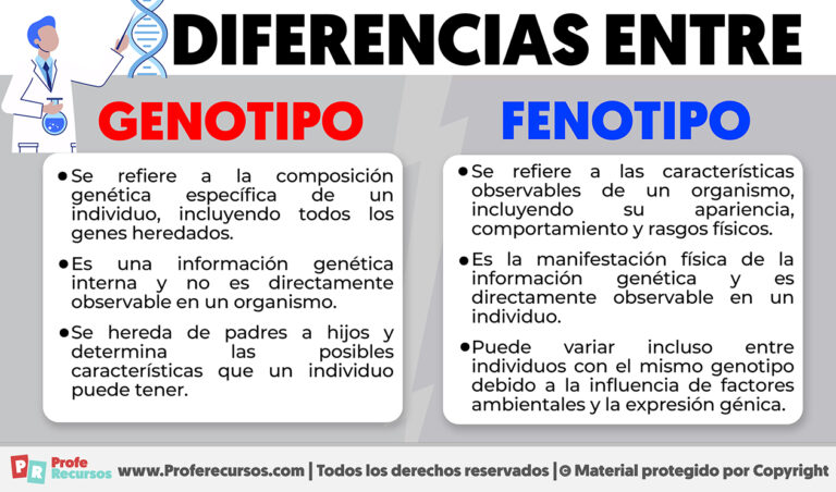 Diferencias Entre Genotipo Y Fenotipo 4887