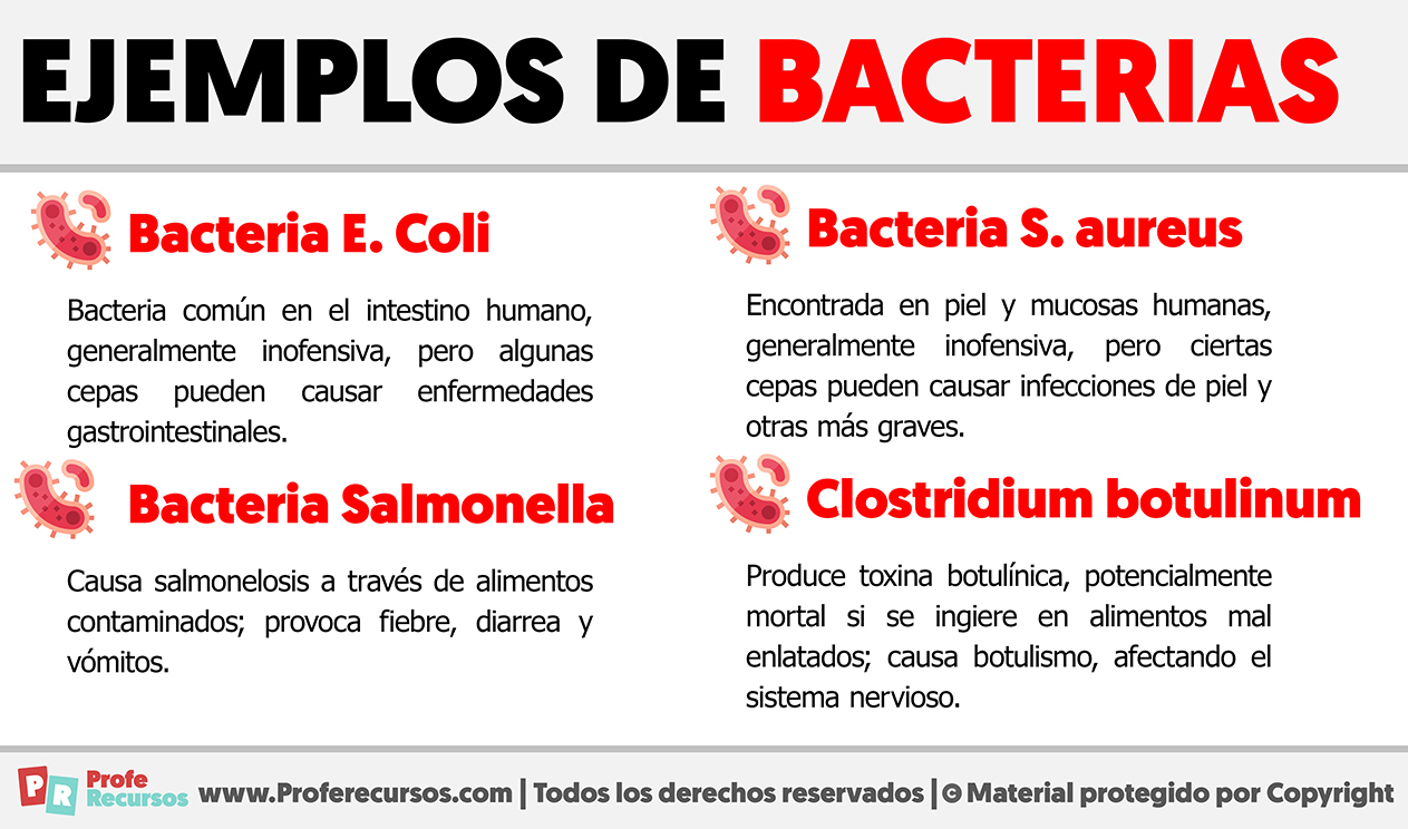 Ejemplos de bacterias