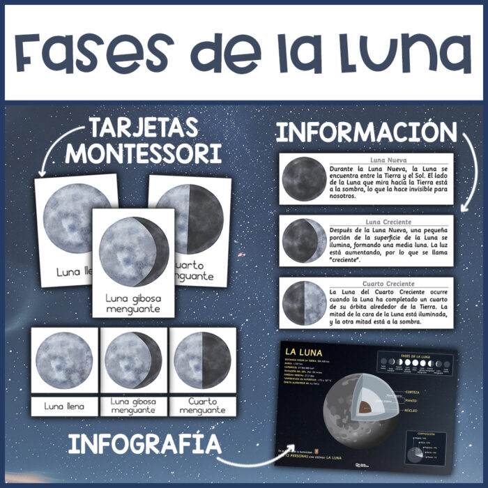 Fases de la luna