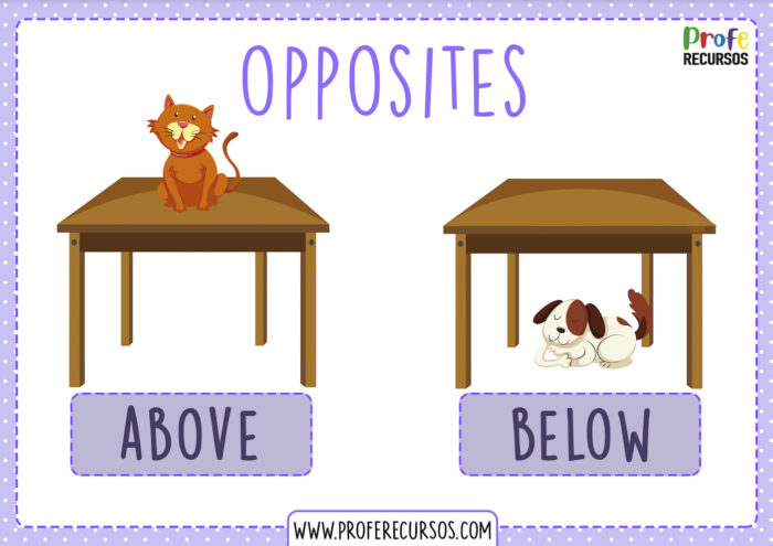 Opposites flashcards English as a Second Language