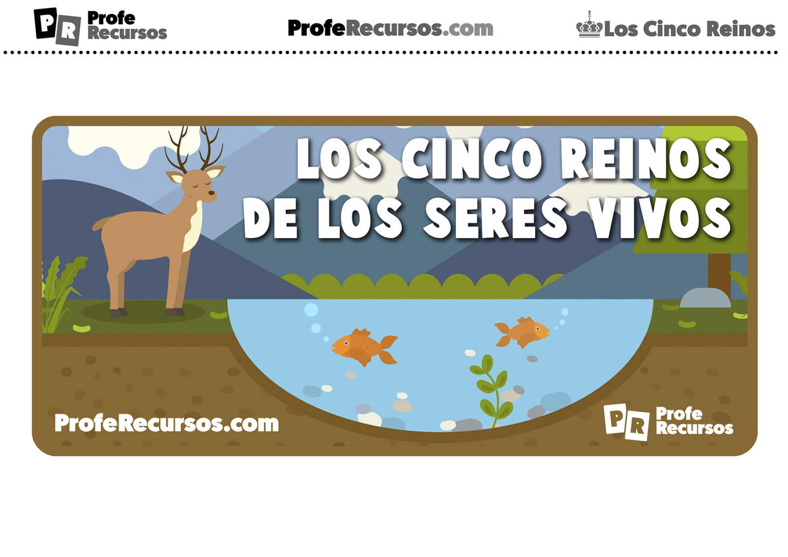 Los Cinco Reinos De Los Seres Vivos Para Niños | Clasificación