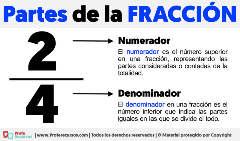 Partes De La Fracción