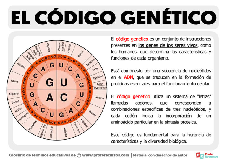 Qué Es El Código Genético 4705