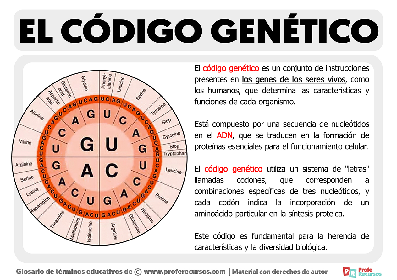 Que es el codigo genetico