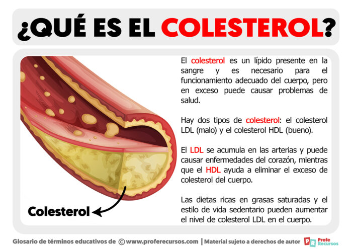 Qué Es El Colesterol | Definición De Colesterol