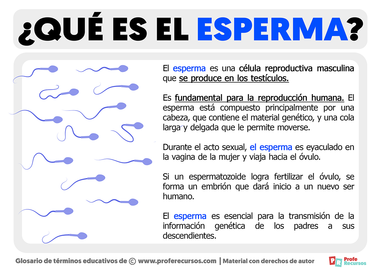 Que es el esperma