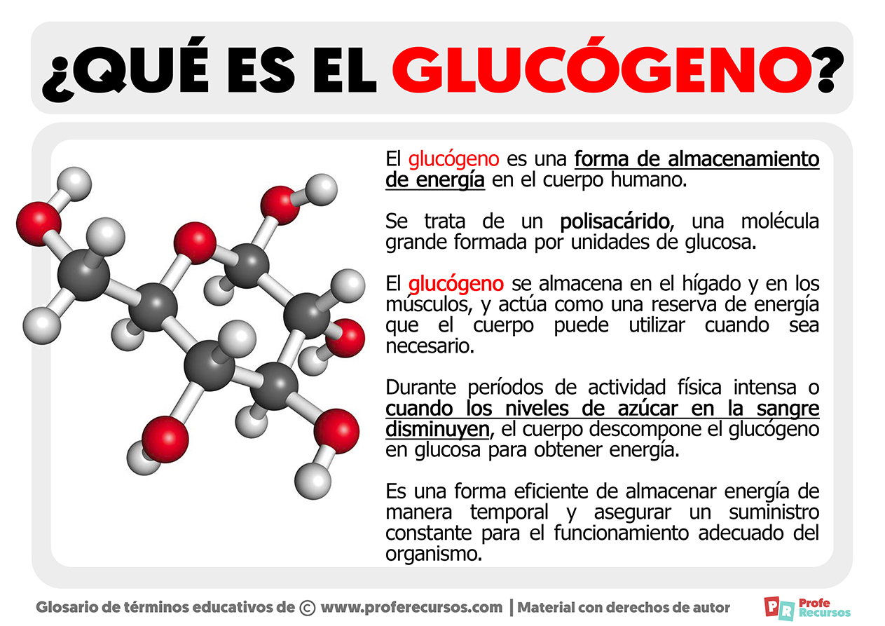 Que es el glucogeno