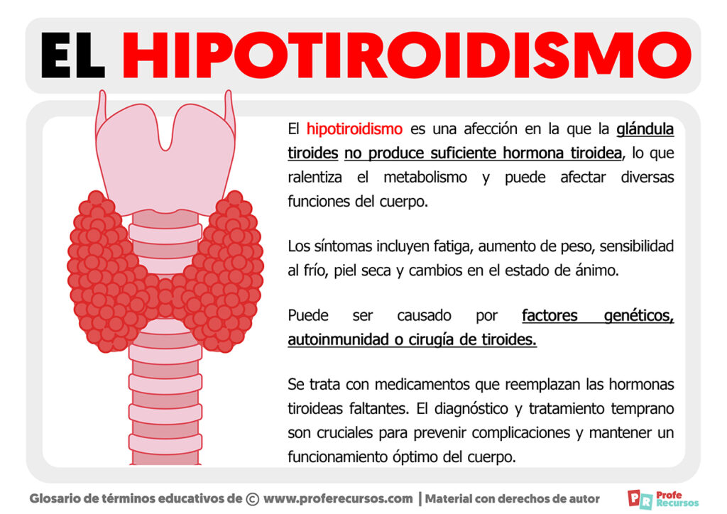 Qué Es El Hipotiroidismo Definición De Hipotiroidismo 3460