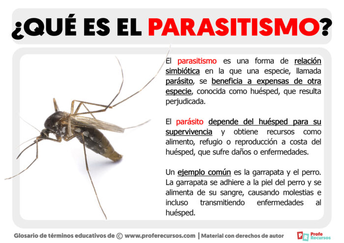 Qué es el Parasitismo Definición de Parasitismo