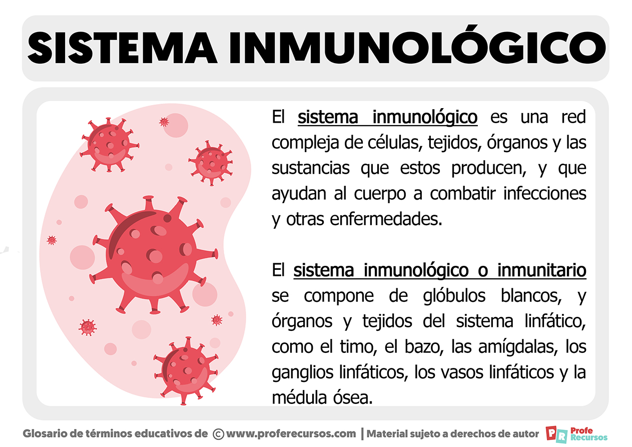 ¿qué Es El Sistema Inmunológico
