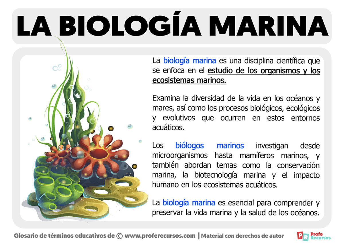 Qué Es La Biología Marina