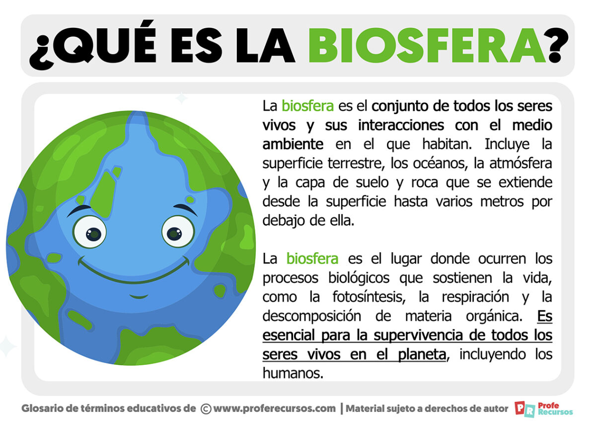 Qu Es La Biosfera Definici N De Biosfera