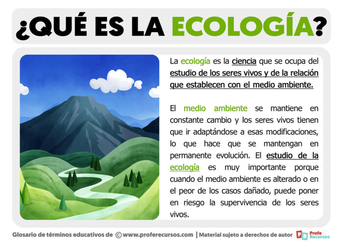 Qué Es La Ecología Definición De Ecología