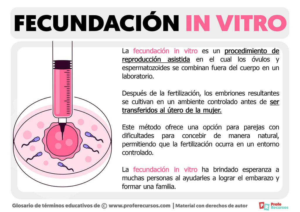 Qué Es La Fecundación In Vitro