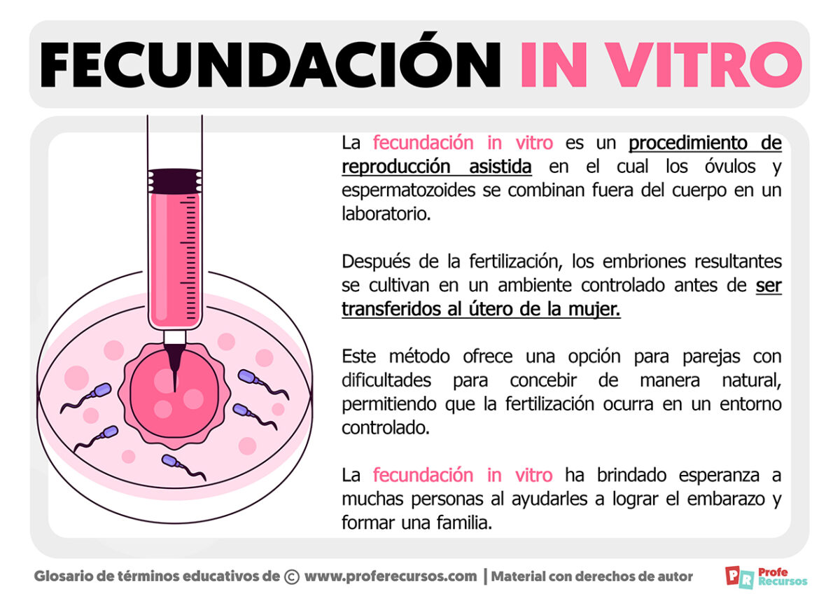 Qué Es La Fecundación In Vitro 