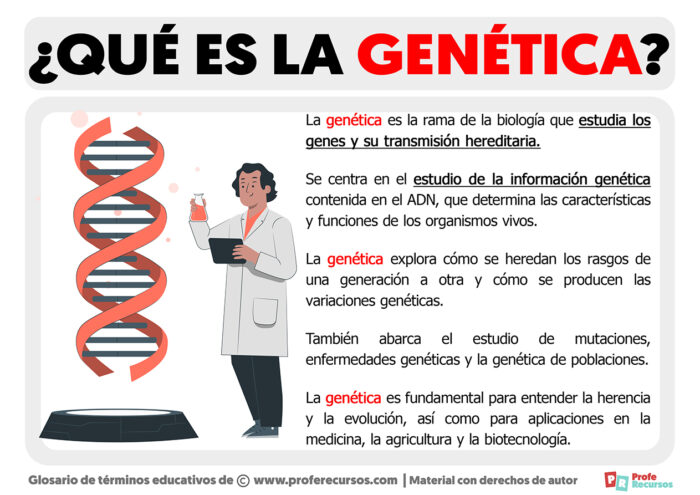 Qué Es La Genética Definición De Genética 1035