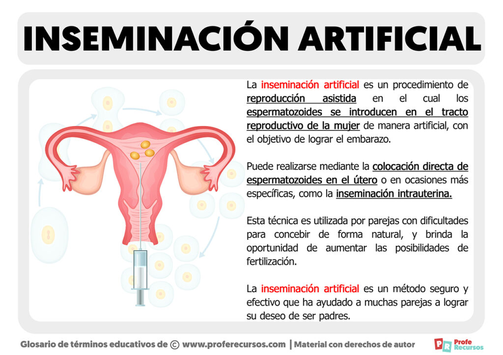 Qué Es La Inseminación Artificial