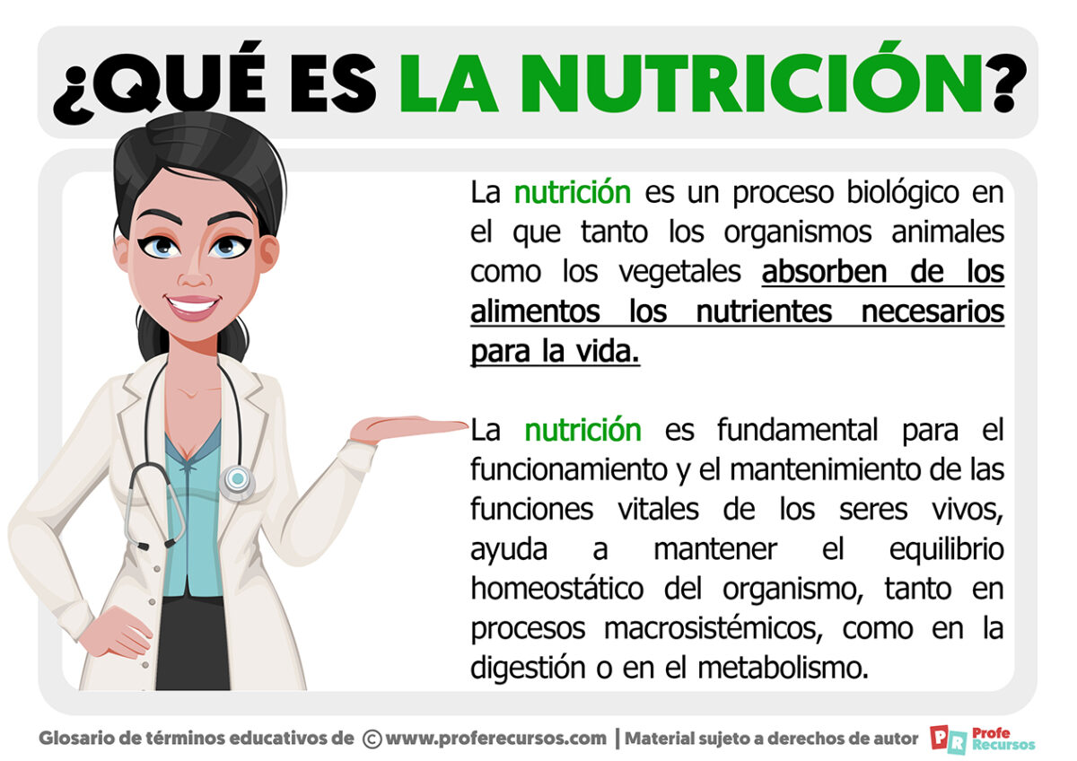 Qué Es La Nutrición Definición De Nutrición 5593