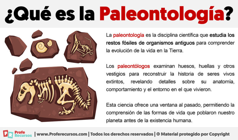 Qué Es La Paleontología Definición De Paleontología 4662