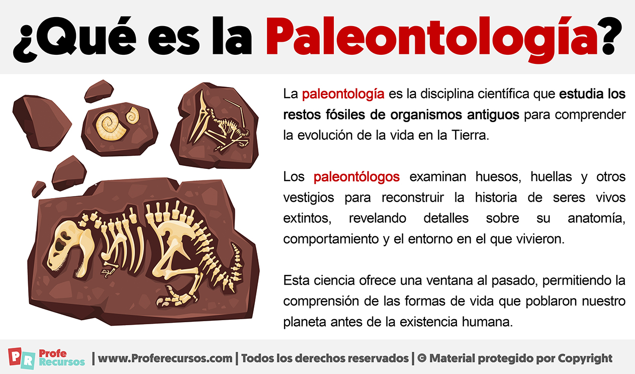 Que es la paleontologia