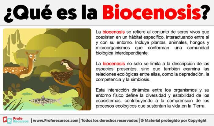 Qué Es La Biocenosis