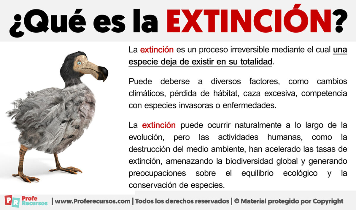 Qué Es La Extinción 5 Ejemplos De Especies Extintas 3285