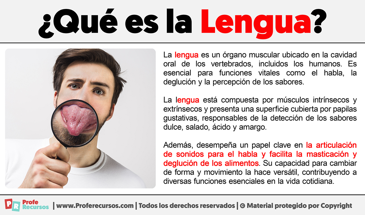 Que es la lengua