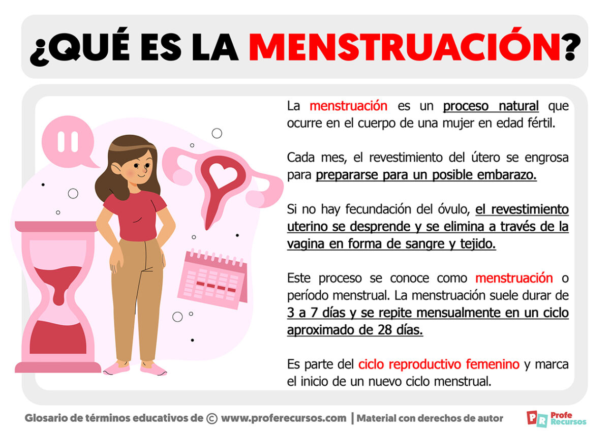 Qué Es La Menstruación Definición De Menstruación 4250